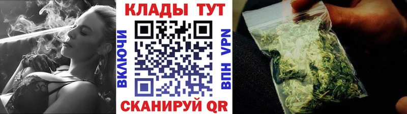 APVP Оса