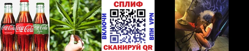 Canna-Cookies конопля  ОМГ ОМГ ссылки  shop как зайти  купить  сайты  Оса 