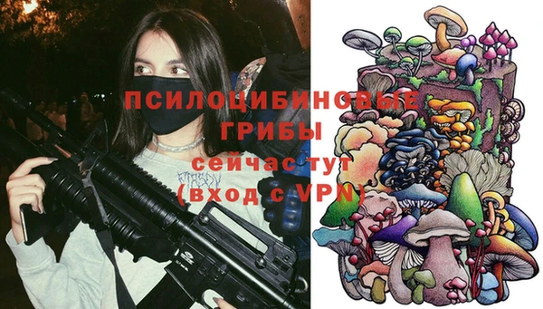 бутират Алексеевка